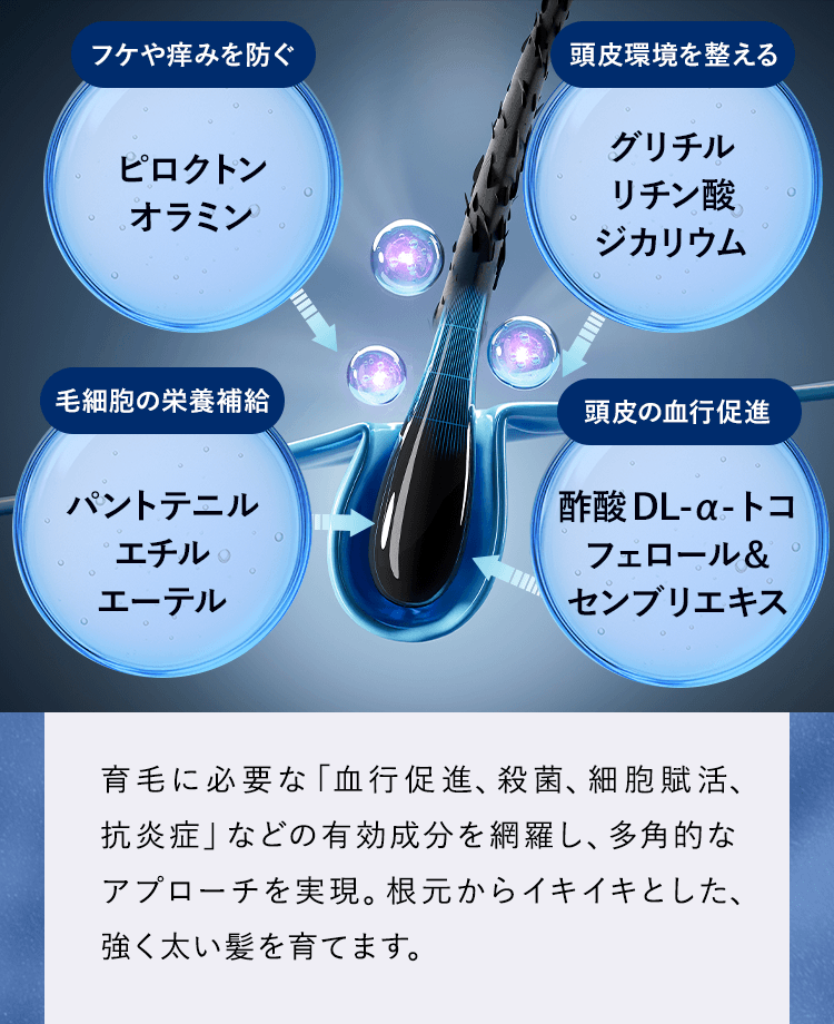フケや痒みを防ぐピロクトンオラミン、頭皮環境を整えるグリチルリチン酸ジカリウム、毛細胞の栄養補給パントテニルエチルエーテル、頭皮の血行促進酢酸DL-α-トコフェロール＆センブリエキス