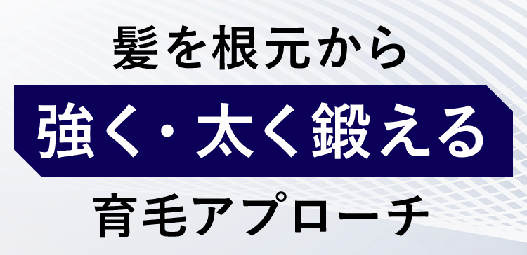 髪を根元から強く・太く鍛える育毛アプローチ