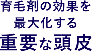 育毛剤の効果を最大化する重要な頭皮