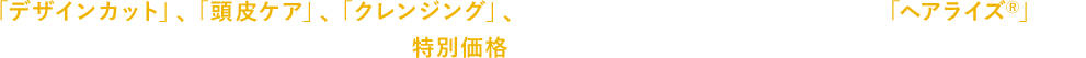 「デザインカット」、「頭皮ケア」、「クレンジング」、地毛を特殊コーティングで太くする「ヘアライズ&reg;」まで。初回限定の特別価格にて、お試しいただけます。