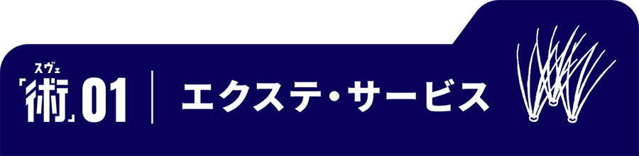 術01　エクステ・サービス